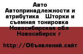 Авто Автопринадлежности и атрибутика - Шторки и съемная тонировка. Новосибирская обл.,Новосибирск г.